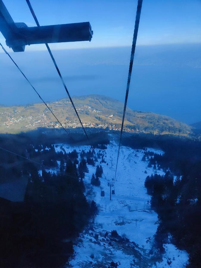 Chalet Recent Coeur Station Thollon-les-Memises Eksteriør bilde